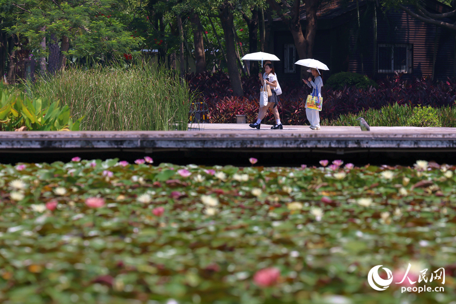 市民游客漫步于蓮池廊道。人民網(wǎng)記者 陳博攝
