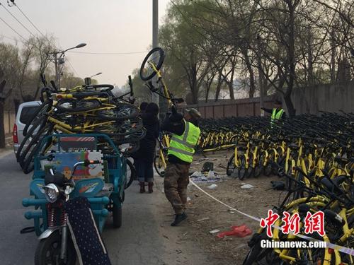 有故障的共享單車正源源不斷地送到維修點。<a target='_blank'  _fcksavedurl='http://www.chinanews.com/' ></table>中新網(wǎng)</a> 吳濤 攝