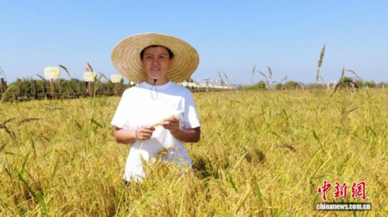 全國人大代表、寧安市渤海鎮(zhèn)上官地村黨支部書記、村委會主任陳雨佳在稻田中。 受訪者供圖